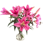 Bloemen